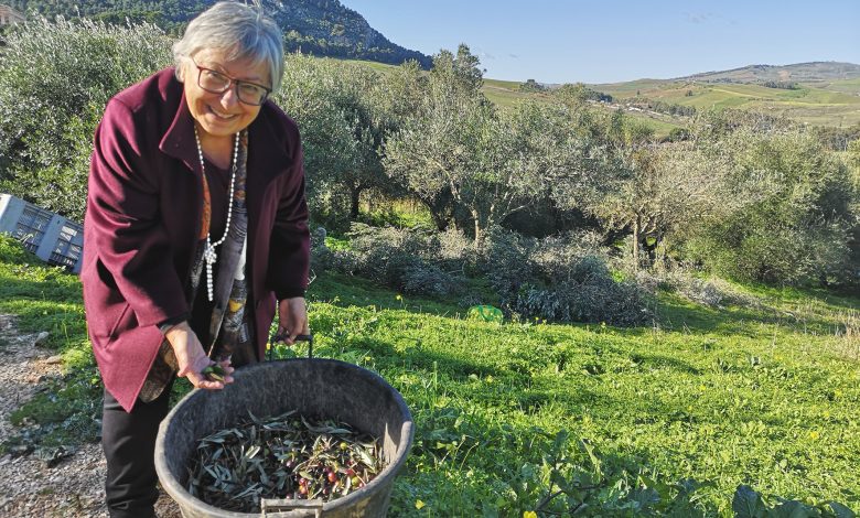 Il Parco archeologico di Segesta produce il primo olio e.v.o.