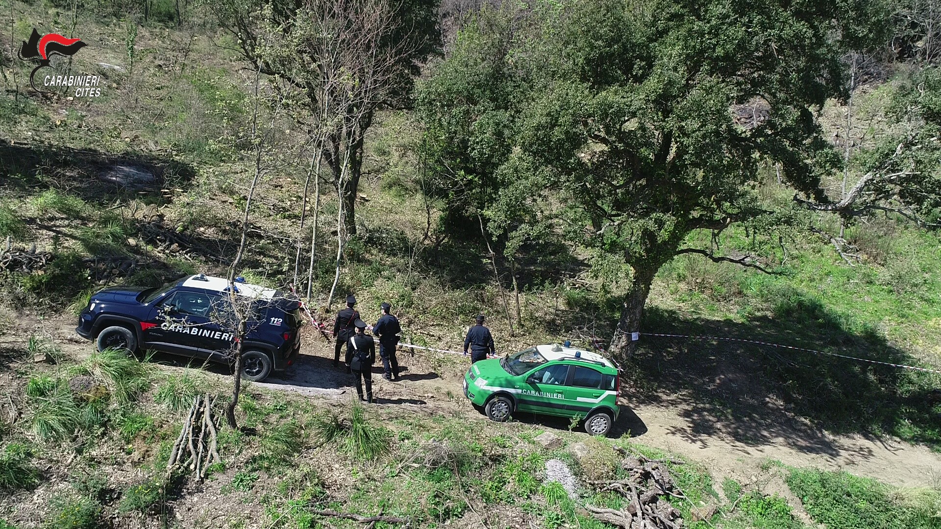 Carabinieri Forestali denunciano 4 persone e sequestrano oltre 35 esemplari di specie protette