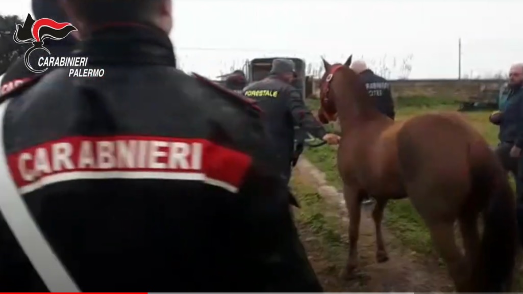 Lotta contro l'attività abusiva degli 'gnuri' a Palermo: sfida tra illegalità e legalità