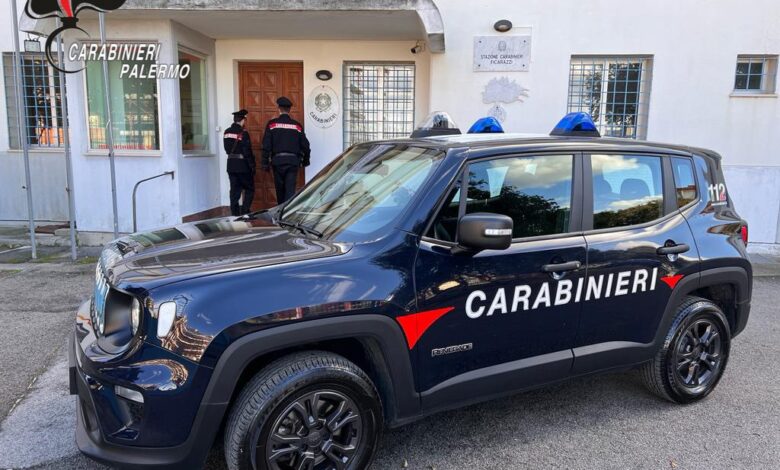 Ficarazzi, Carabinieri salvano neonato e madre