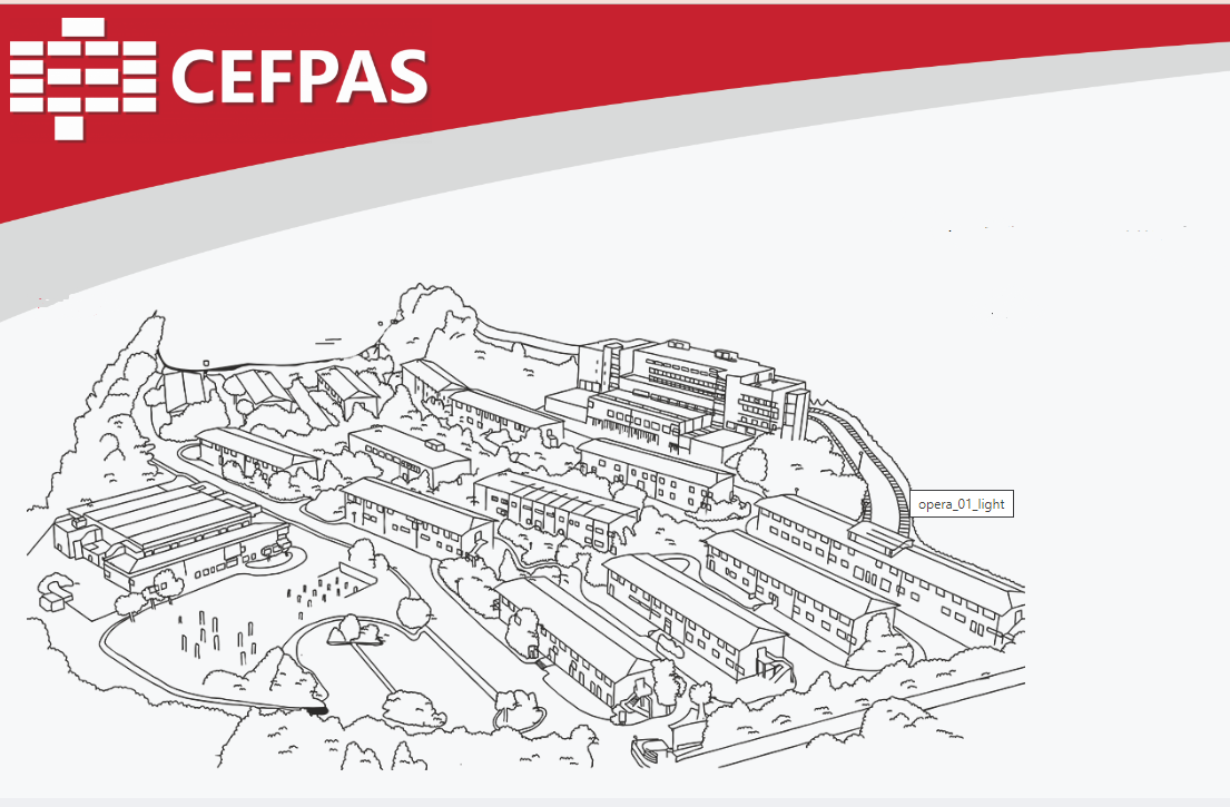 Al via dal 14 al 17 marzo a Palermo la formazione per ispettori regionali REACH e CLP su salute e ambiente