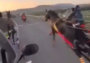 Il "Caso Sicilia" di Corse Clandestine di Cavalli Sbarca in Parlamento
