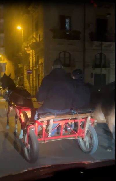 PALERMO E LE STRADE DEI CAVALLI - NUOVO SCIOCCANTE VIDEO