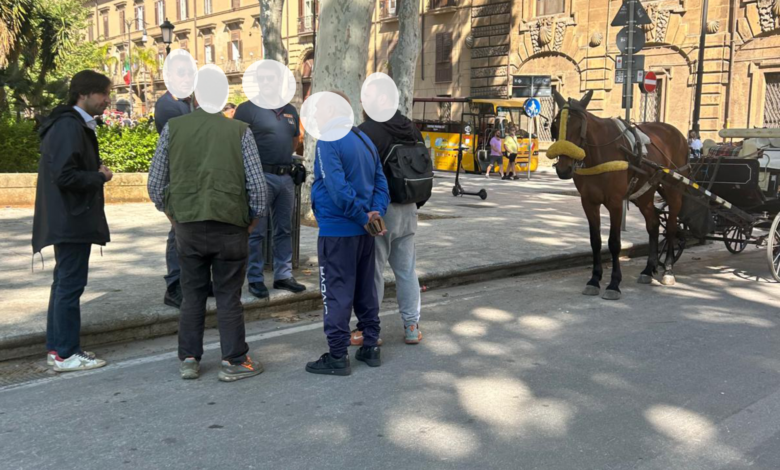 A Palermo si diffonde la pericolosa moda delle carrozze guidate da minorenni, scatenando le proteste di cittadini e turisti.