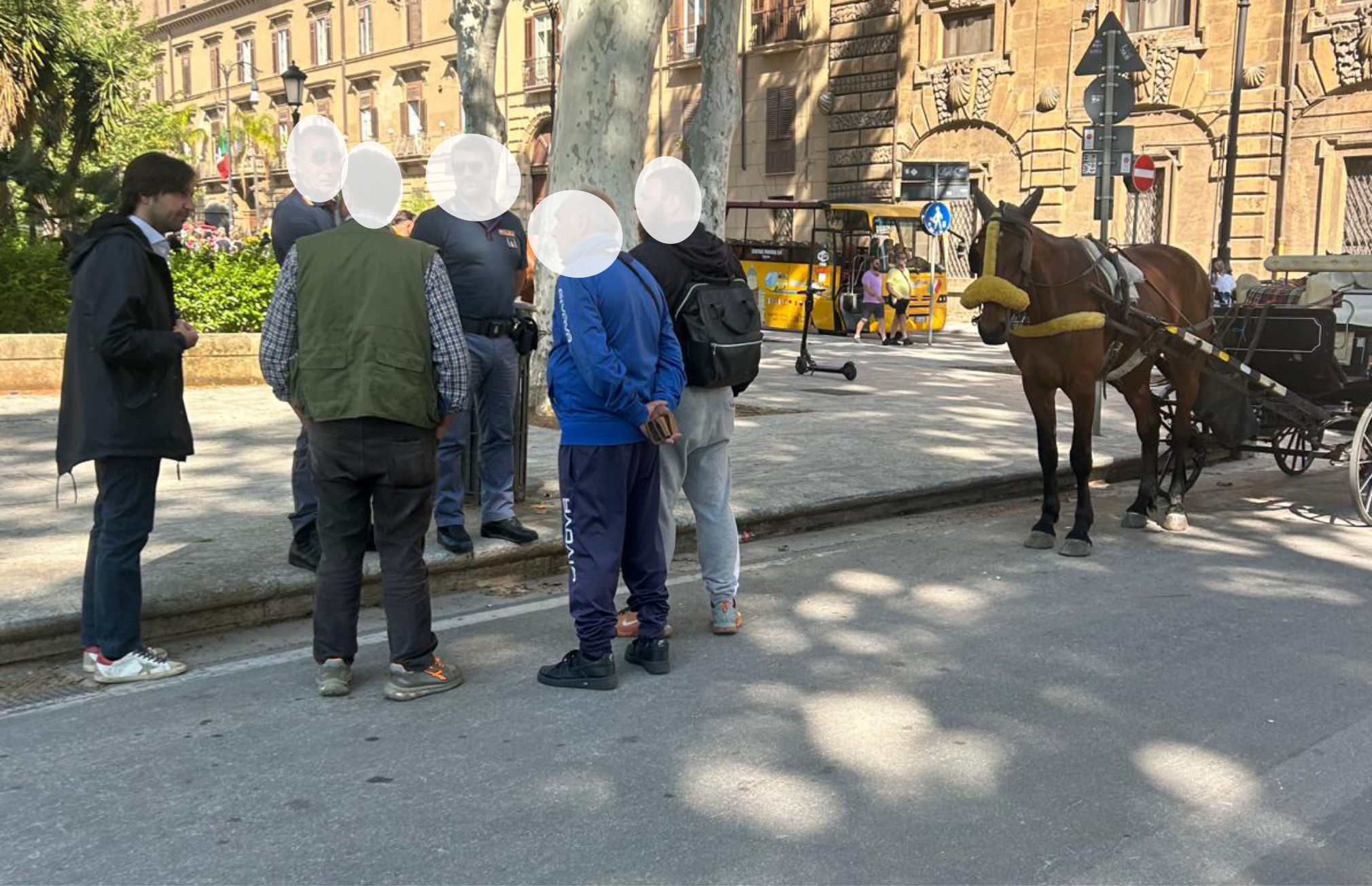 A Palermo si diffonde la pericolosa moda delle carrozze guidate da minorenni, scatenando le proteste di cittadini e turisti.