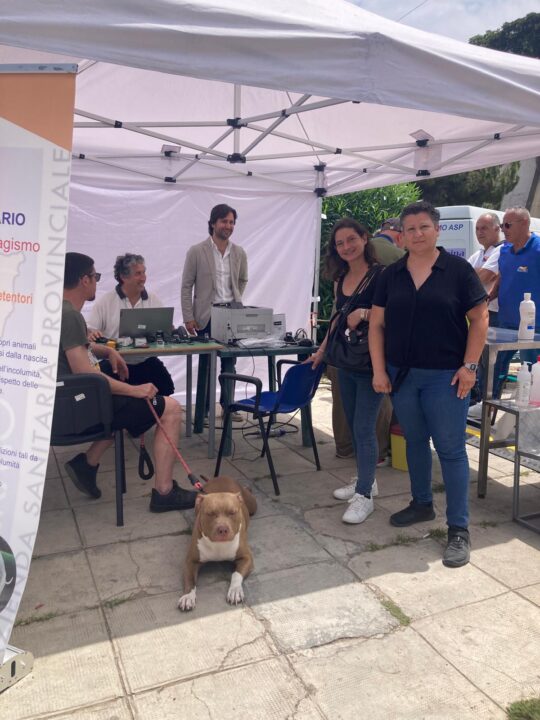"Una giornata dedicata alla microchippatura degli animali domestici e alla salute dei cittadini a Palermo, con servizi sanitari gratuiti e prevenzione per tutti."