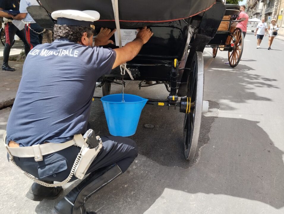 Palermo: Stretta sui Carrozzieri Abusivi, Polizia Municipale Sequestra Carrozze nel Centro Storico