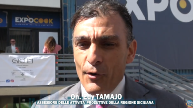 Europee 2024: Tamajo condanna le scritte sessiste sui manifesti di Annalisa Tardino