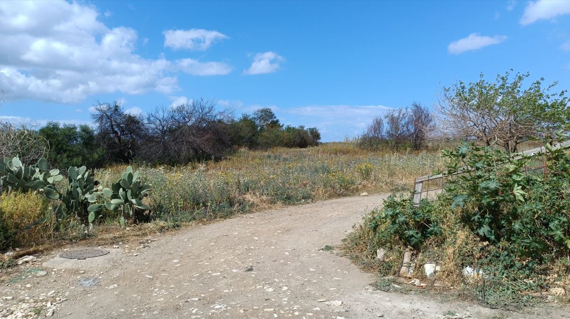 Parco Libero Grassi Palermo strada abusiva laterale