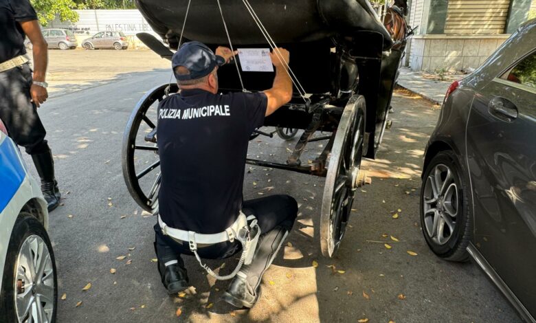 Sequestrata carrozza in Piazzetta della Pace per mancanza di licenza e targa. Palermo intensifica i controlli contro l’abusivismo per garantire il benessere animale. L'assessore Ferrandelli elogia il lavoro della polizia municipale.