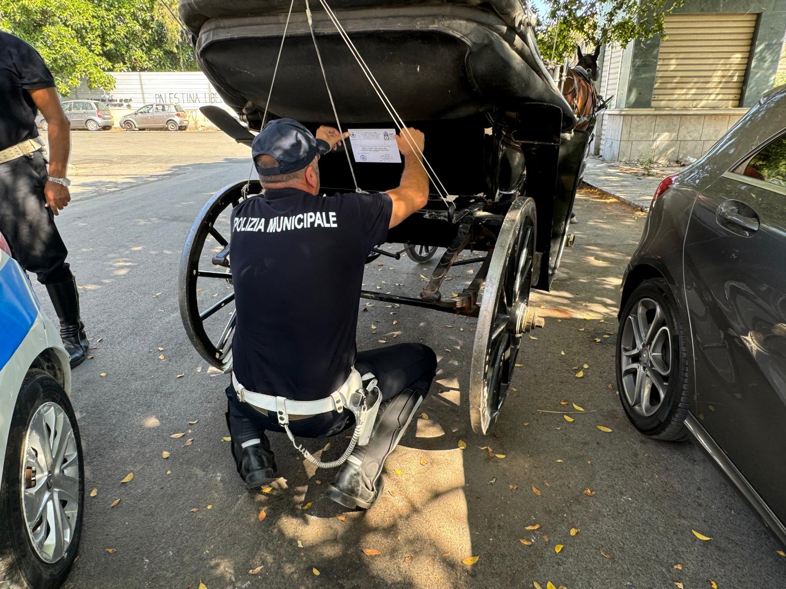 Sequestrata carrozza in Piazzetta della Pace per mancanza di licenza e targa. Palermo intensifica i controlli contro l’abusivismo per garantire il benessere animale. L'assessore Ferrandelli elogia il lavoro della polizia municipale.