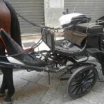 Sequestro carrozza