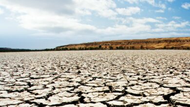 La Regione Siciliana stanzia 15 milioni per affrontare la crisi idrica nel settore agricolo e prepararsi a future emergenze climatiche.