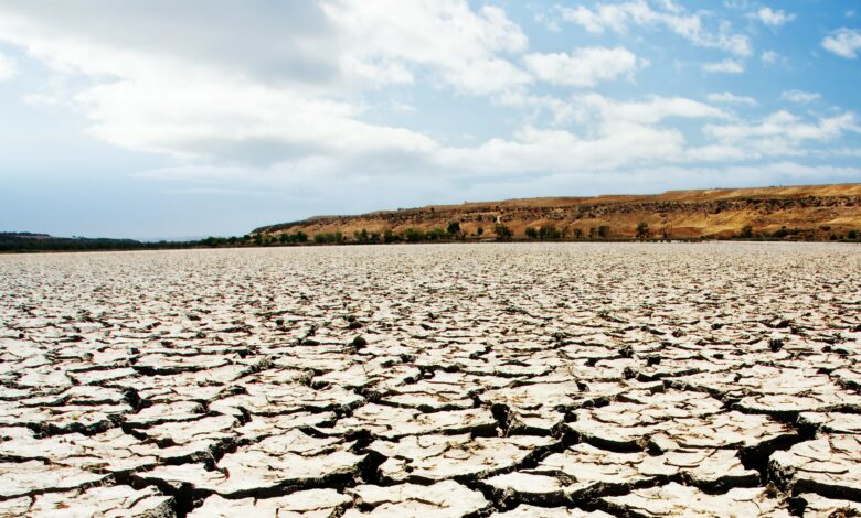 La Regione Siciliana stanzia 15 milioni per affrontare la crisi idrica nel settore agricolo e prepararsi a future emergenze climatiche.