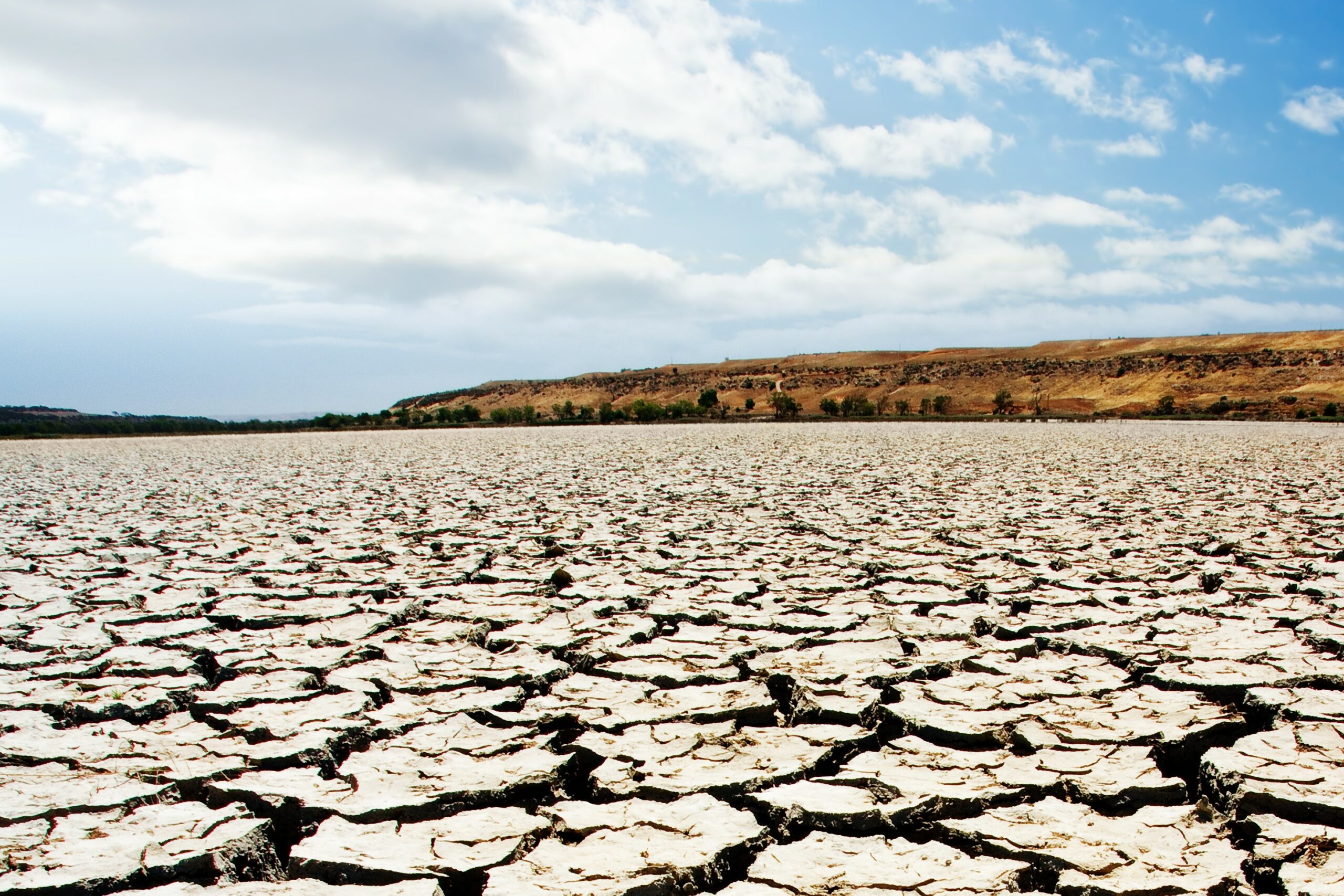 La Regione Siciliana stanzia 15 milioni per affrontare la crisi idrica nel settore agricolo e prepararsi a future emergenze climatiche.